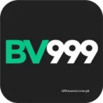 BV999 Game