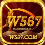W567 com