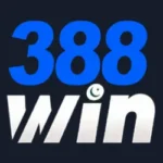 388win com