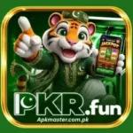 PKRfun com