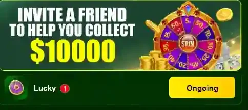 799 Pak