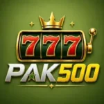 PAK500 com