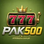 PAK500 com